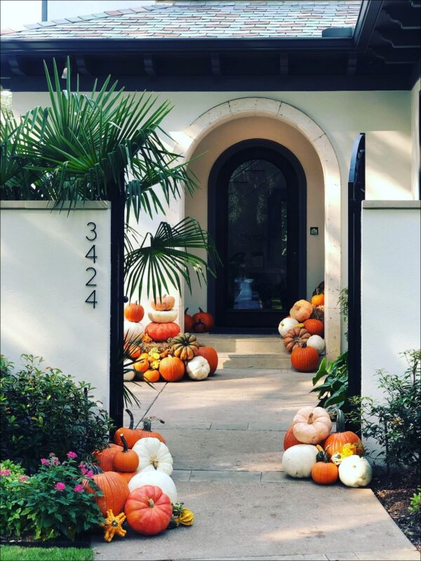 Pumpkins, Pumpkins Everywhere!