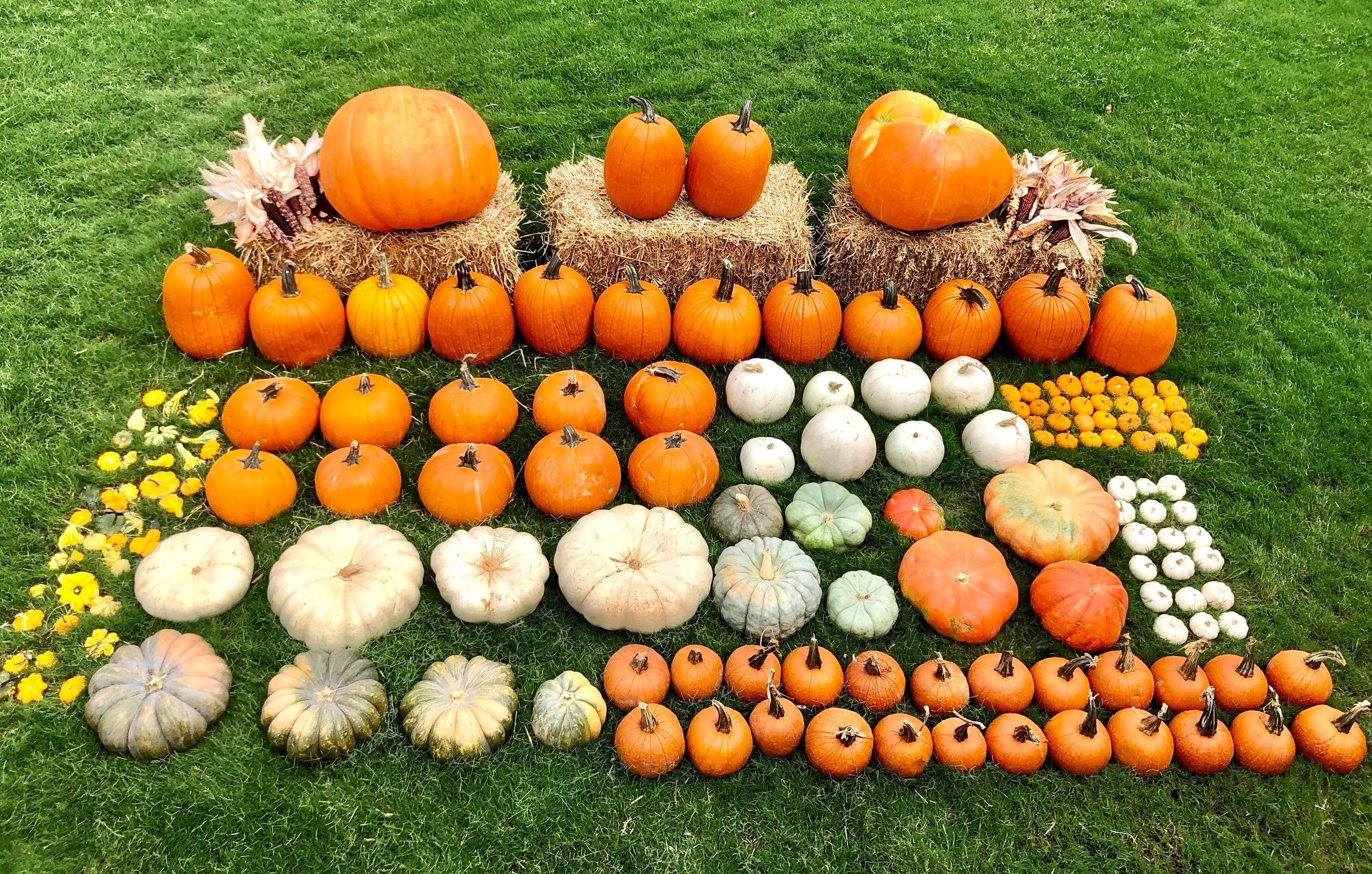 fall porch decor package1d